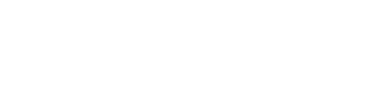 Logo PointLiner-System Bodenbender