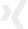 Xing Icon