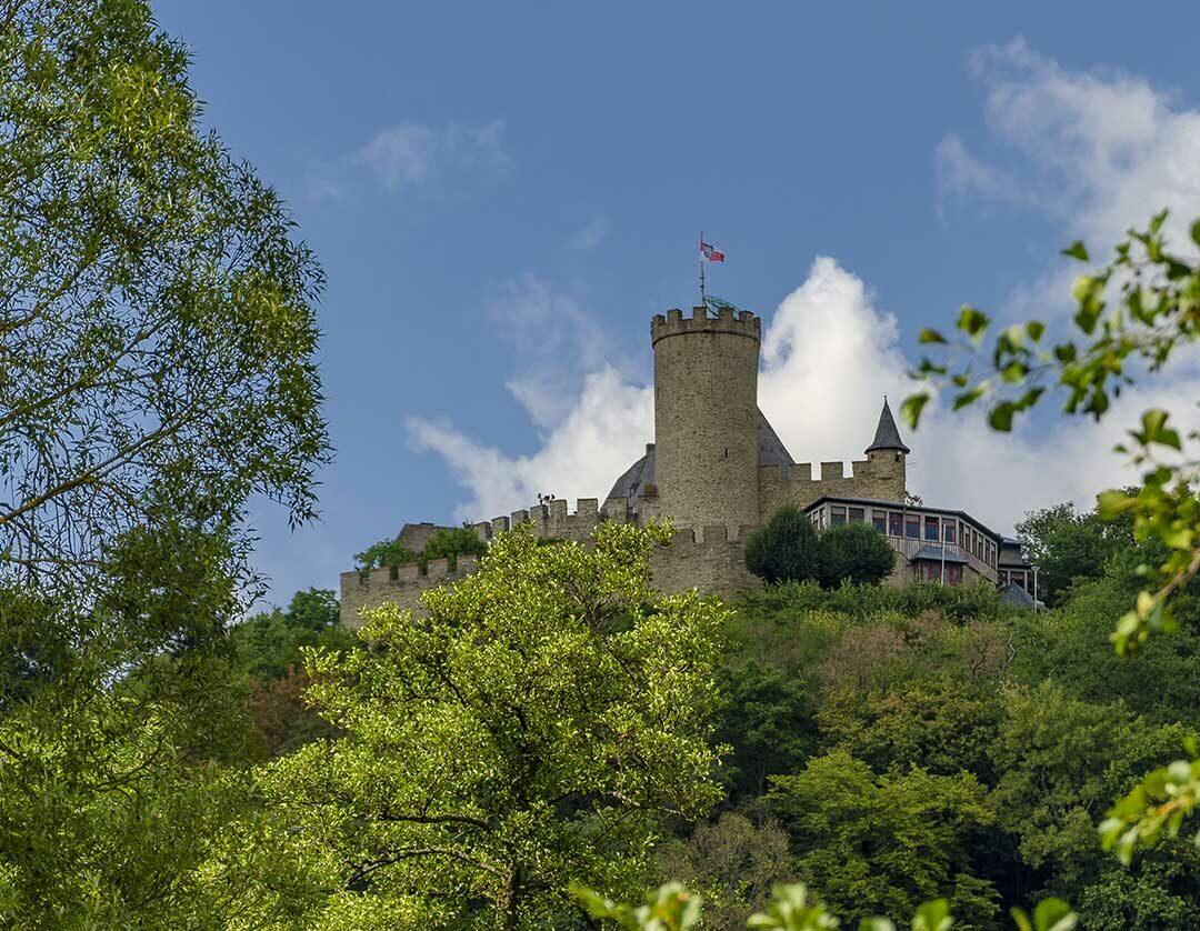 Baumwipfel und darüber ein Schloss, mit blauem Himmel im Hintergrund.